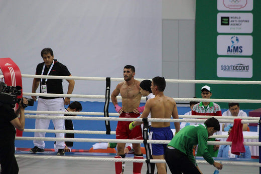 Hamid Amini, kickboxer